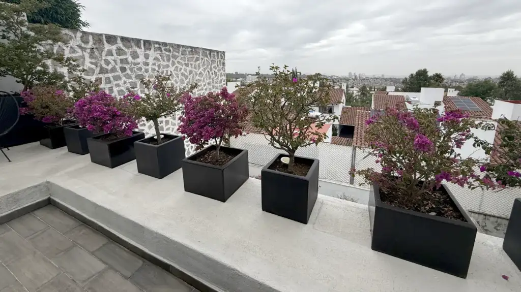 n-Santa-fe-la-loma-conjunto-residencial-cdmx-f13